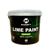 Lime paints